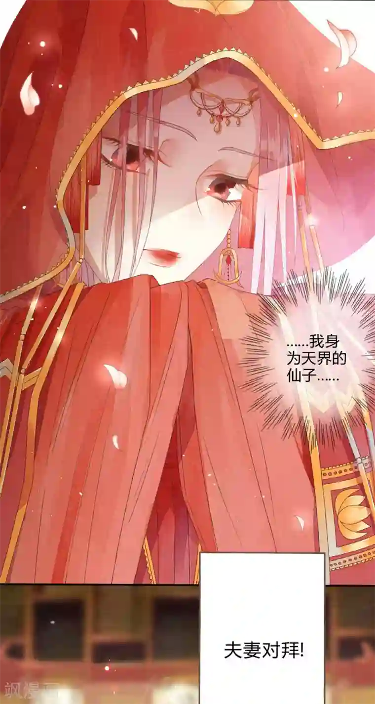 天恸璃泽殇第1话 琉璃泪：初婚之