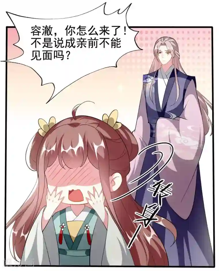 坏心王爷别惹我第205话 公主大婚