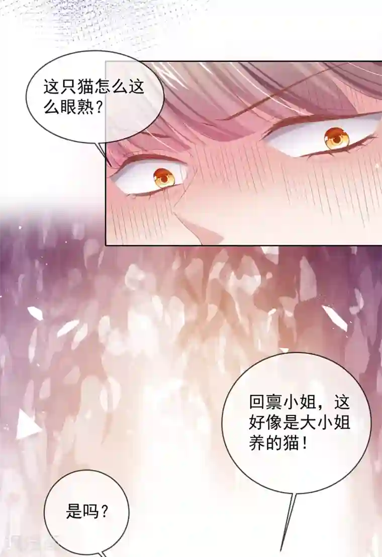 嗜血医妃第82话 母亲去世的真相