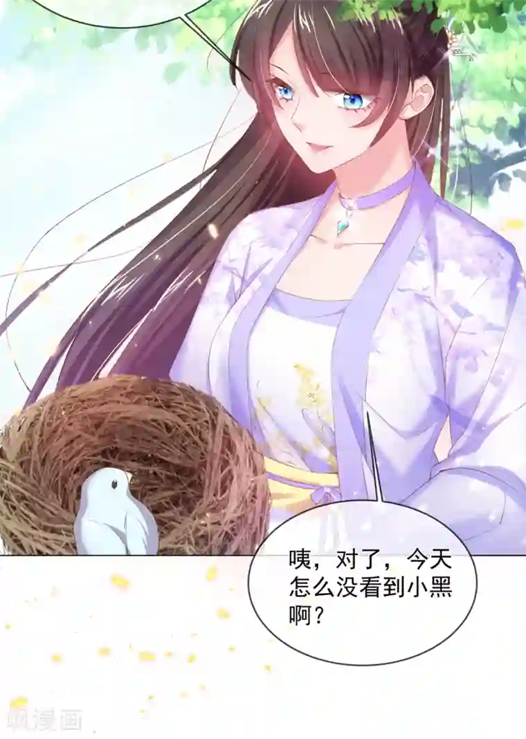 嗜血医妃第83话 提亲下聘一波加一波