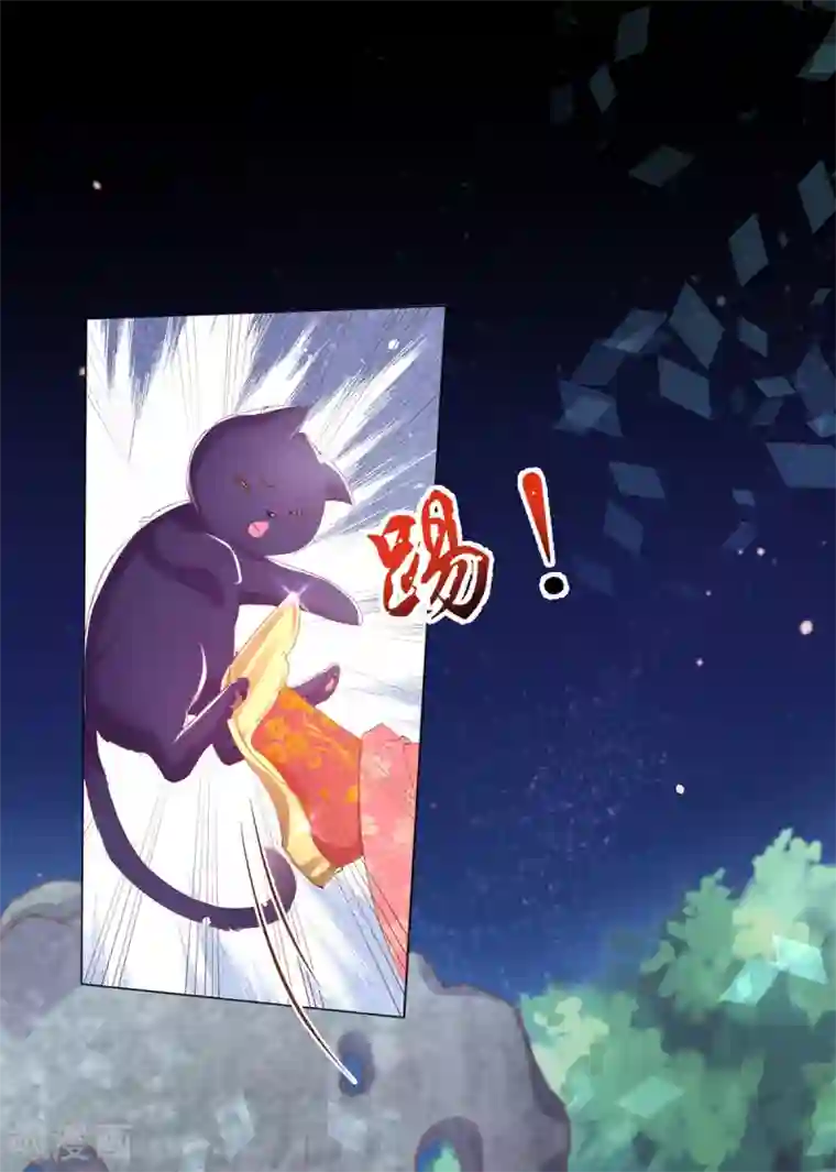 嗜血医妃第83话 提亲下聘一波加一波