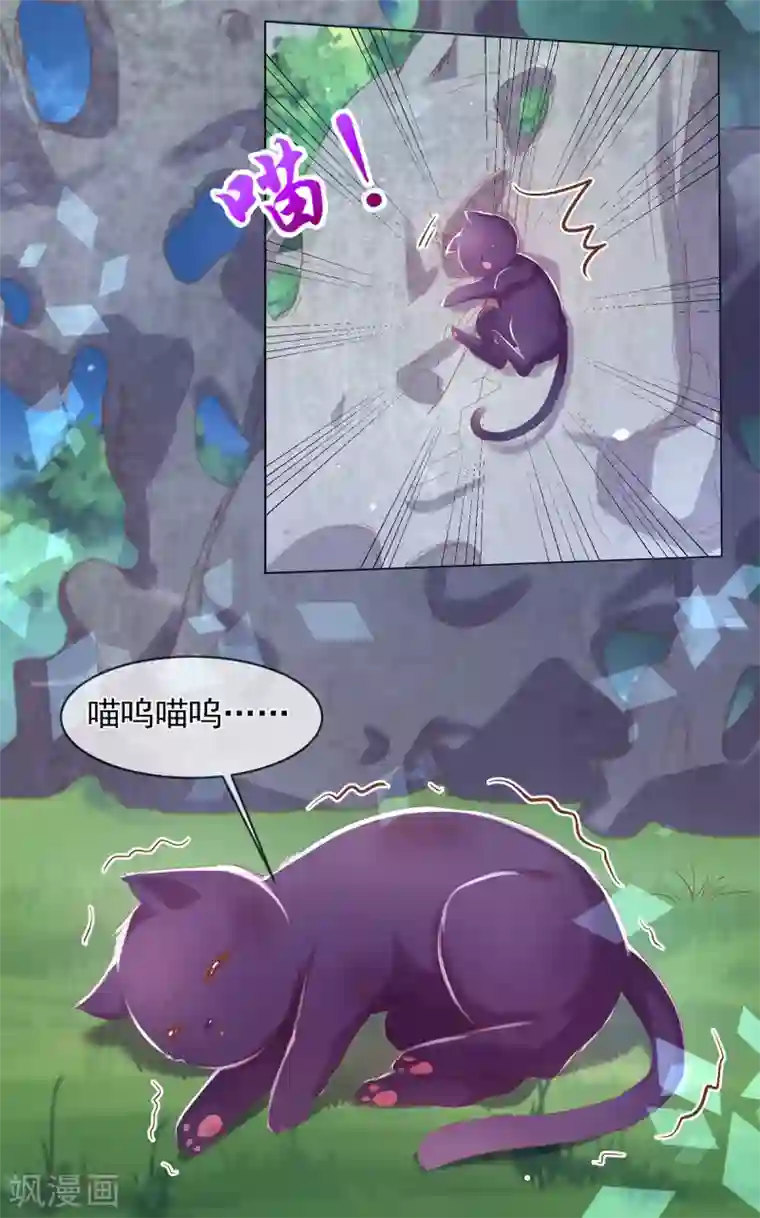 嗜血医妃第83话 提亲下聘一波加一波