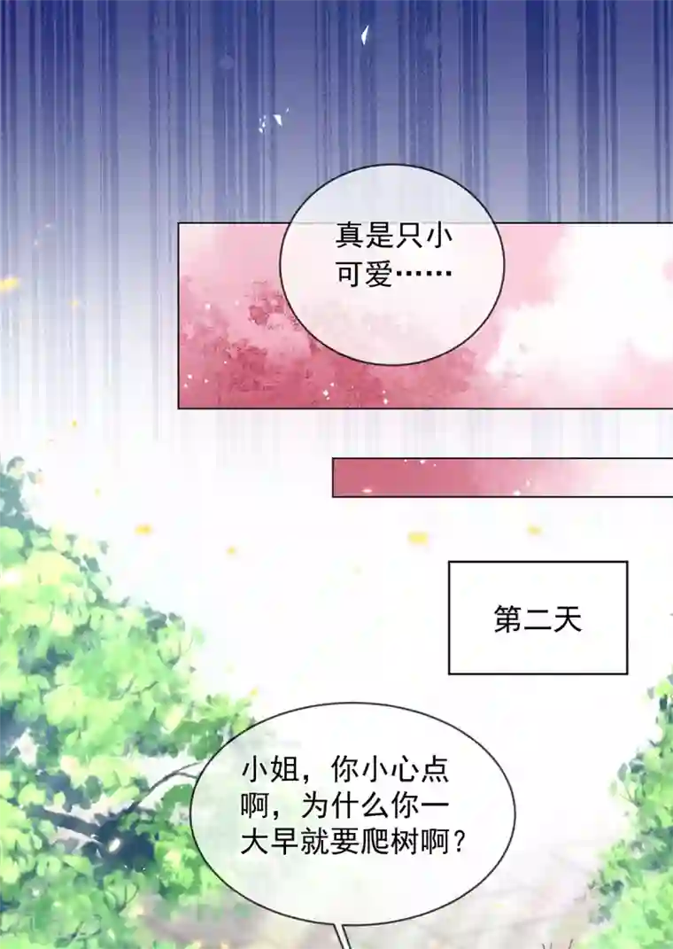 嗜血医妃第83话 提亲下聘一波加一波