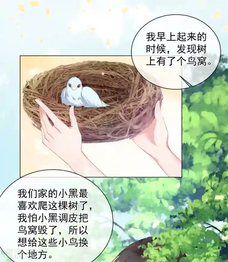 嗜血医妃第83话 提亲下聘一波加一波