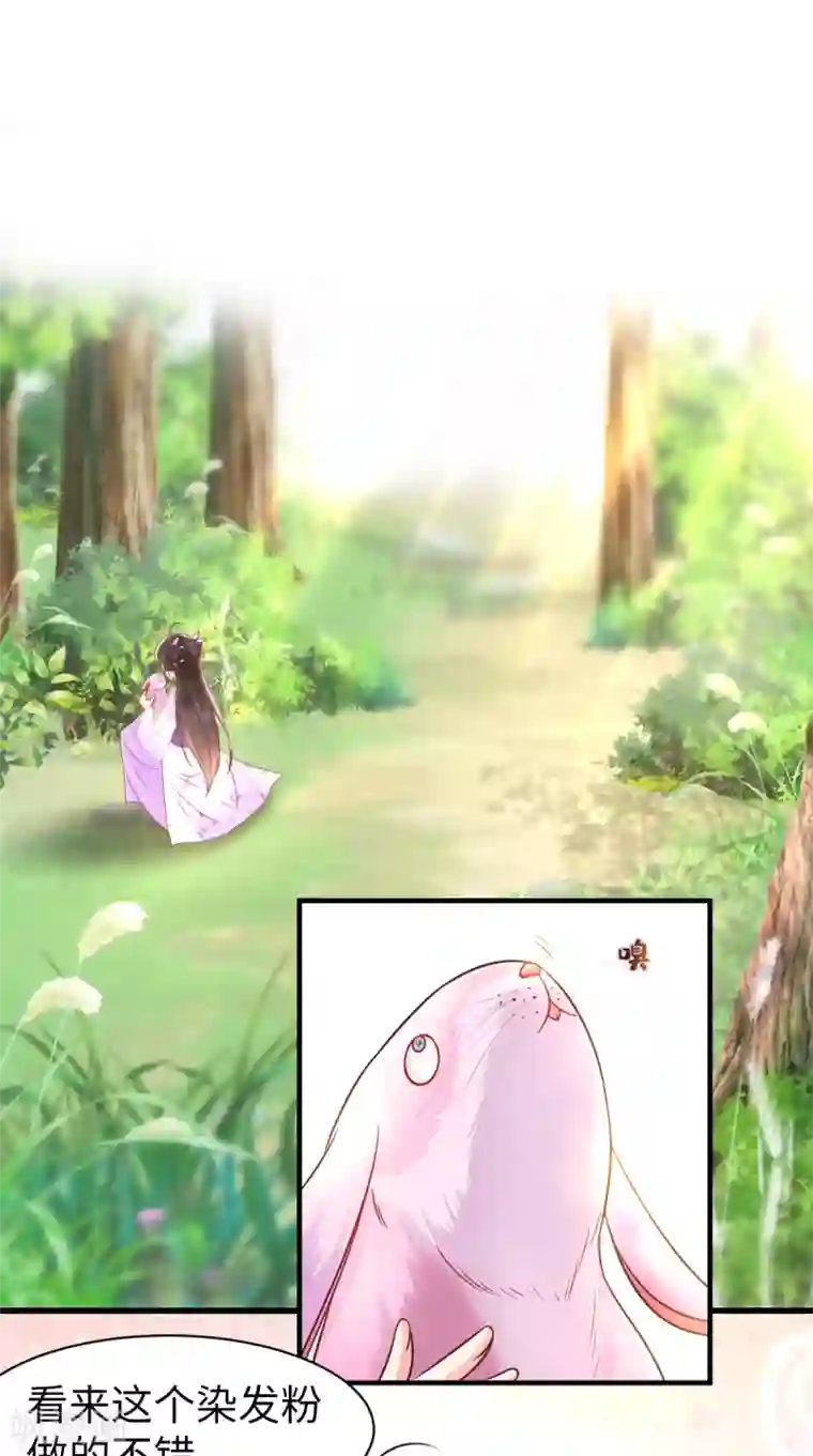 痴傻毒妃不好惹第119话 合作愉快！