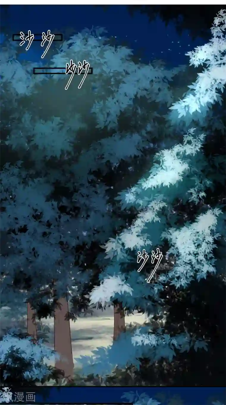 痴傻毒妃不好惹第120话 暗杀