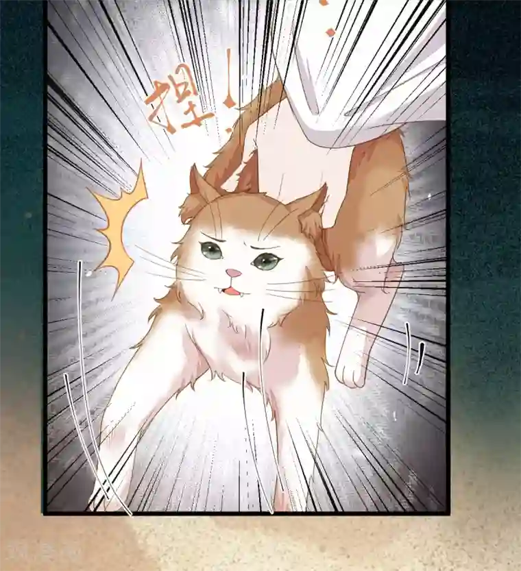 杀手王妃不好惹第45话 茗香阁真相