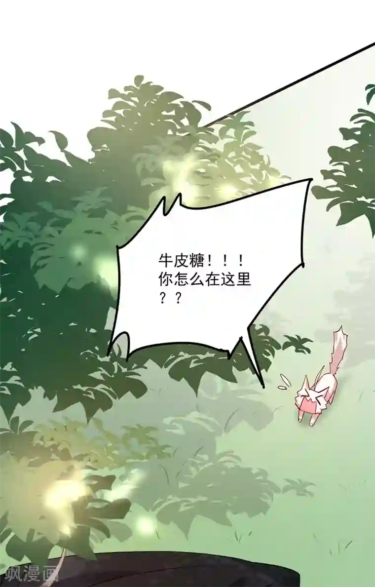我在异界养男神：神医九小姐第36话 甩不掉