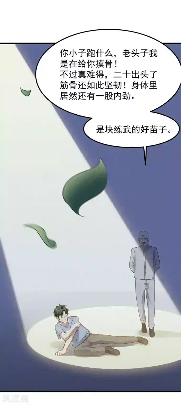 至尊神眼第27话 形意拳