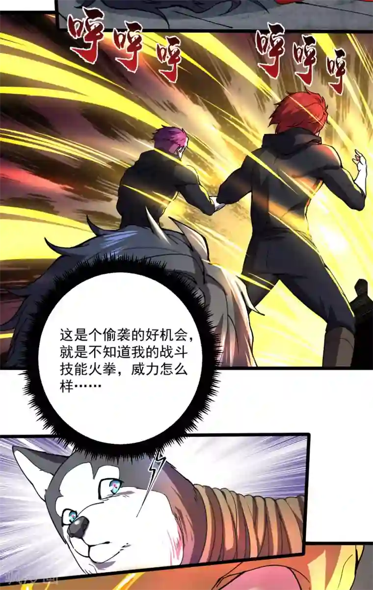 我在末世送外卖第25话 蛋碎之术