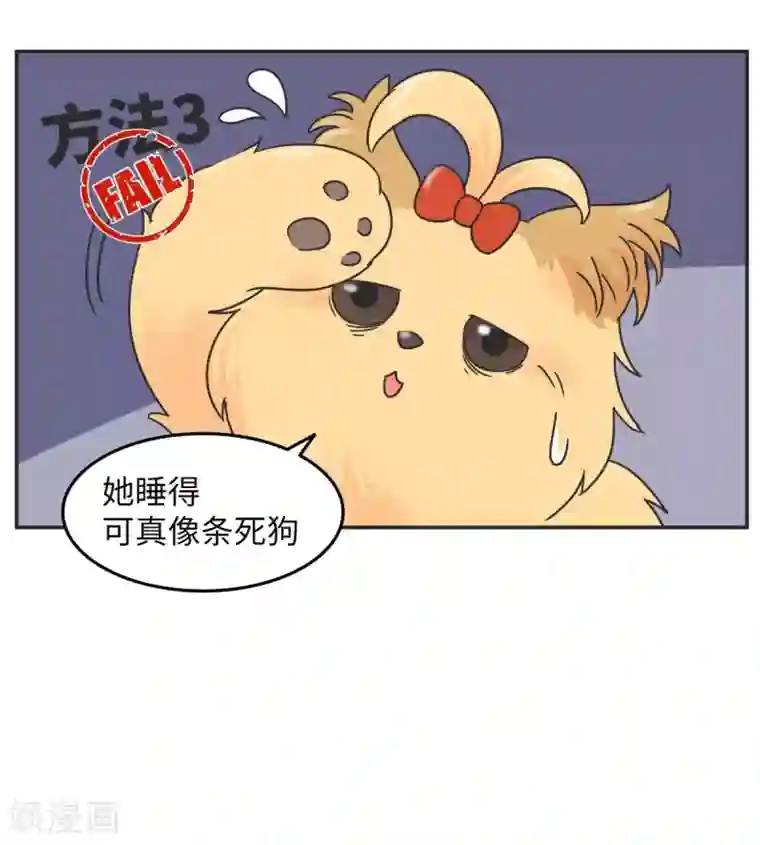 当代大学生哈哈概论第10话 呼噜娃