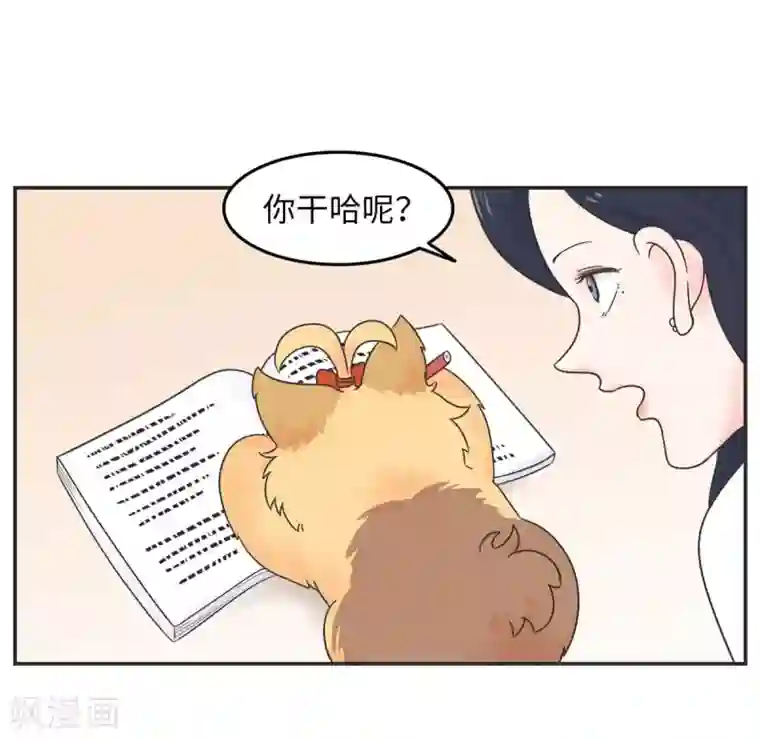 当代大学生哈哈概论第15话 四六级，大战在即！