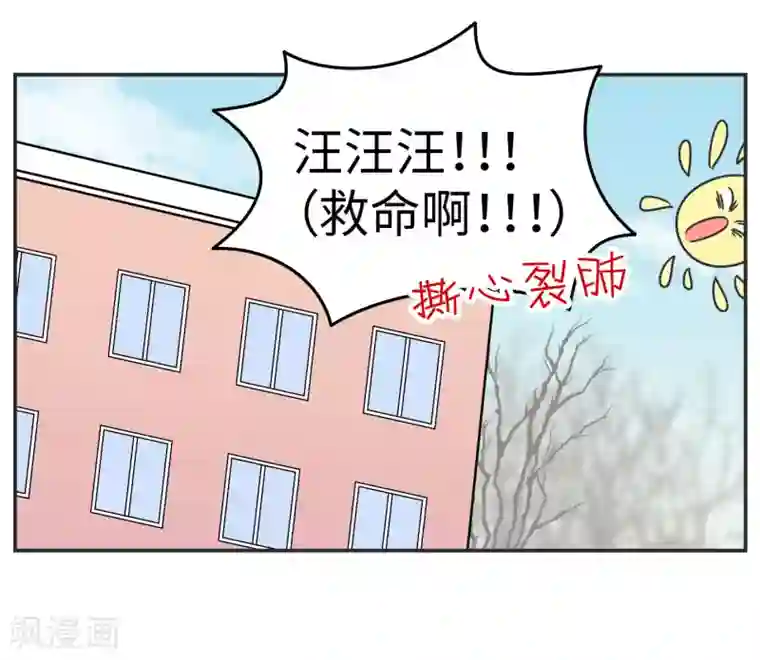 当代大学生哈哈概论第20话 蚂蚁花的就让蚂蚁还