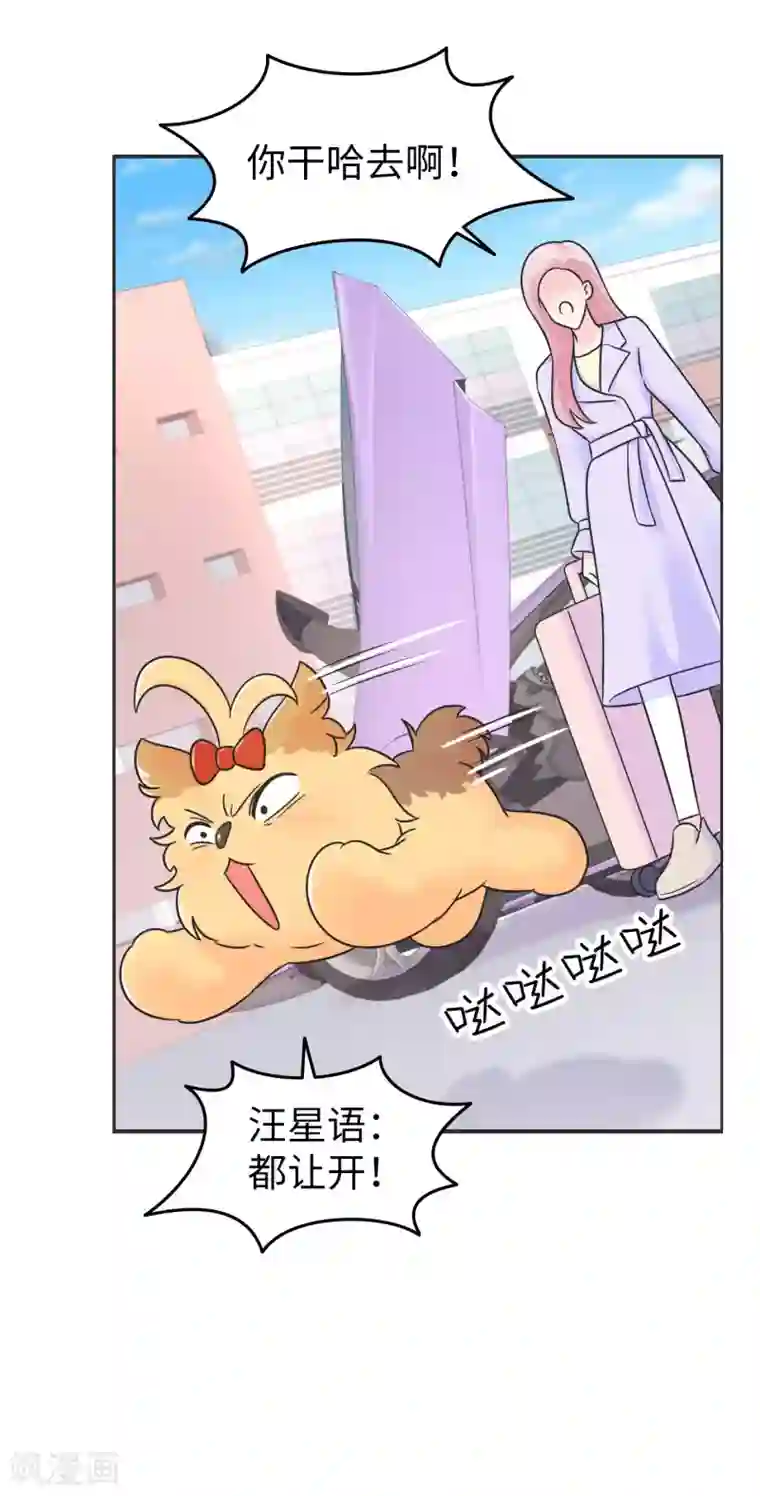 当代大学生哈哈概论第2季1话 传说中的狗屎运