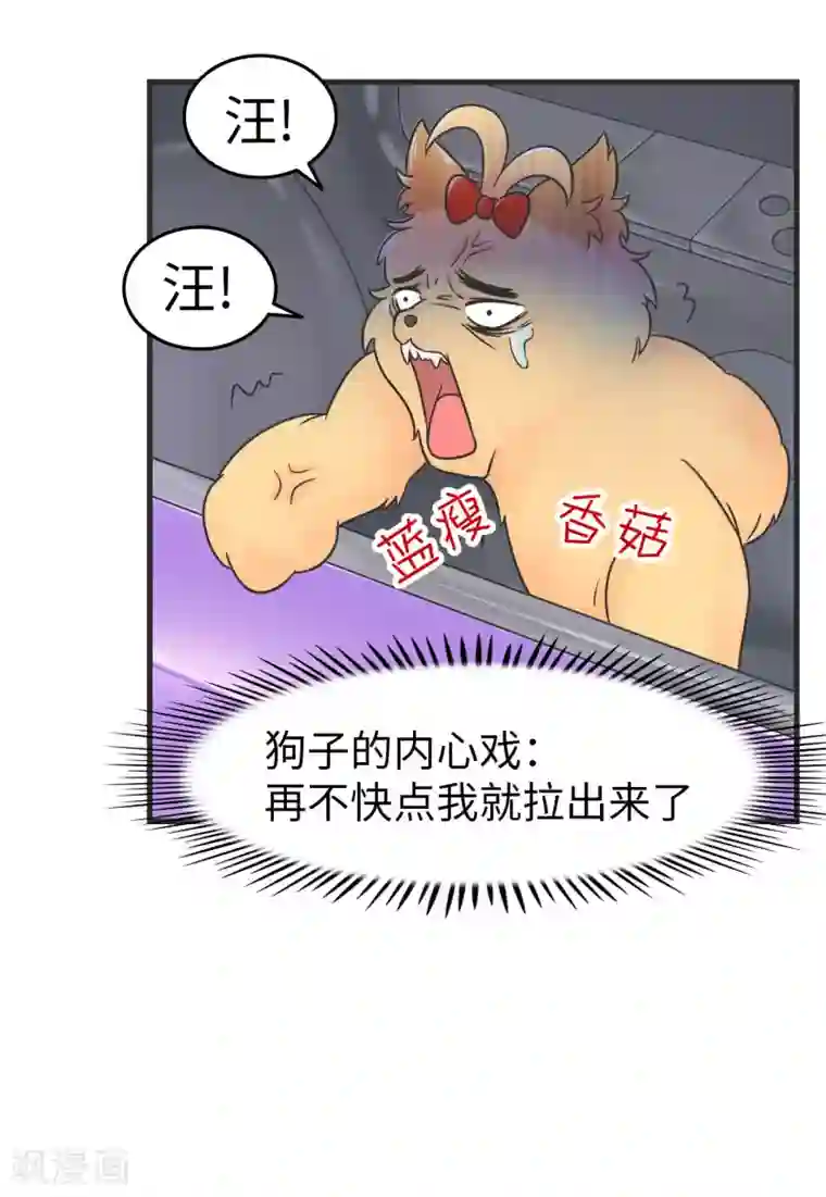 当代大学生哈哈概论第2季1话 传说中的狗屎运