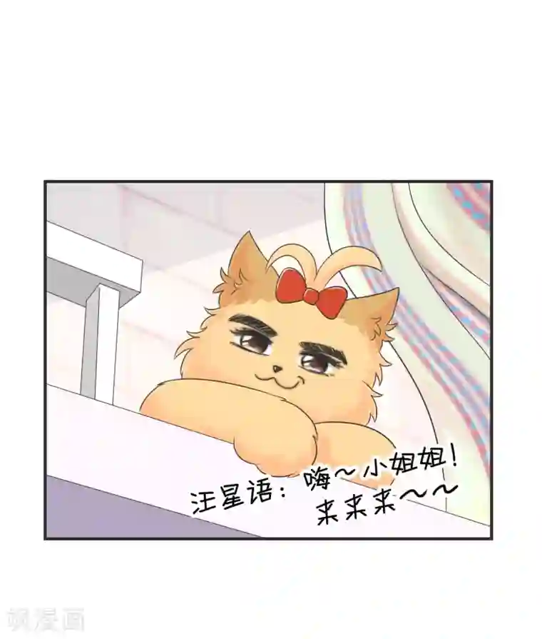 当代大学生哈哈概论第2季4话 掉马甲现场