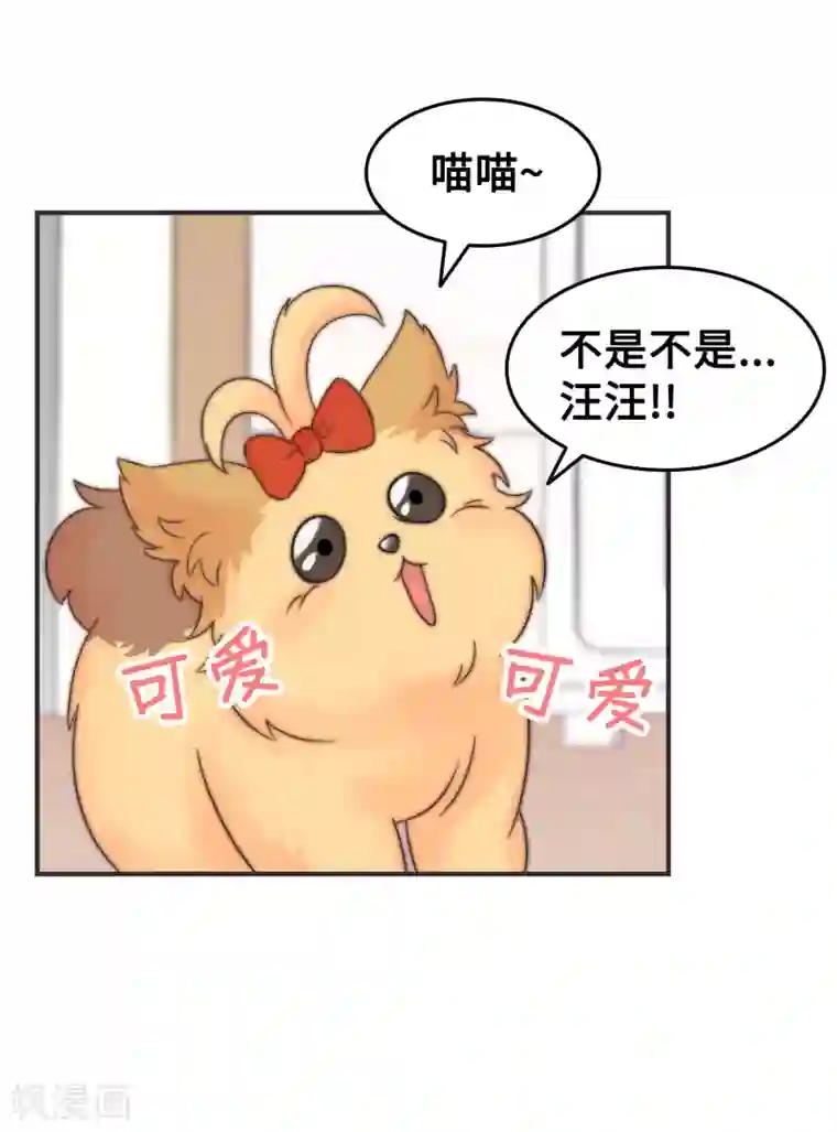 当代大学生哈哈概论第2季4话 掉马甲现场