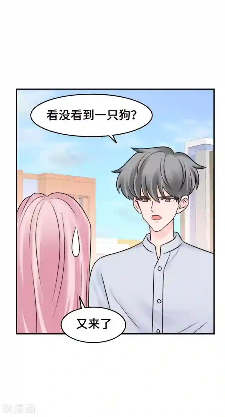 当代大学生哈哈概论第2季17话 外面有狗了？