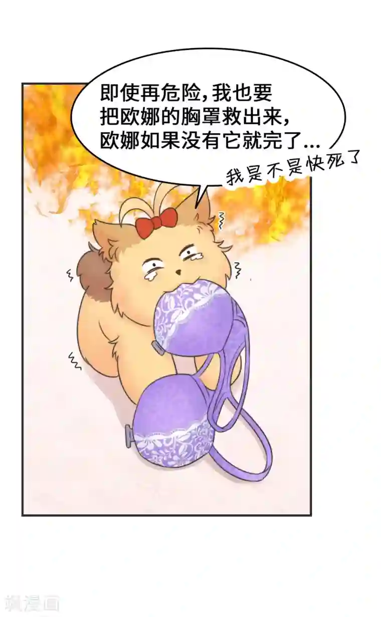 当代大学生哈哈概论第2季28话 我的英雄