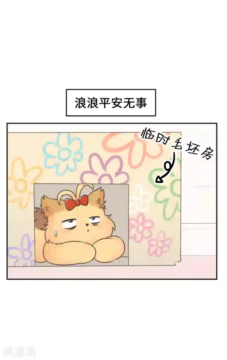 当代大学生哈哈概论第2季28话 我的英雄