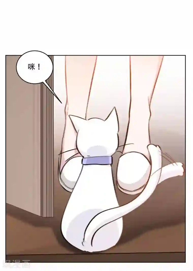 重生暖婚轻轻宠第193话 他们竟是旧相识