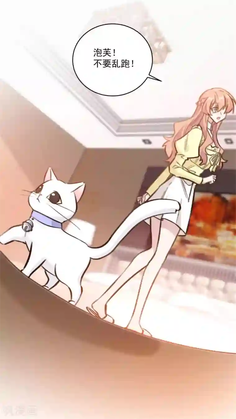 重生暖婚轻轻宠第193话 他们竟是旧相识