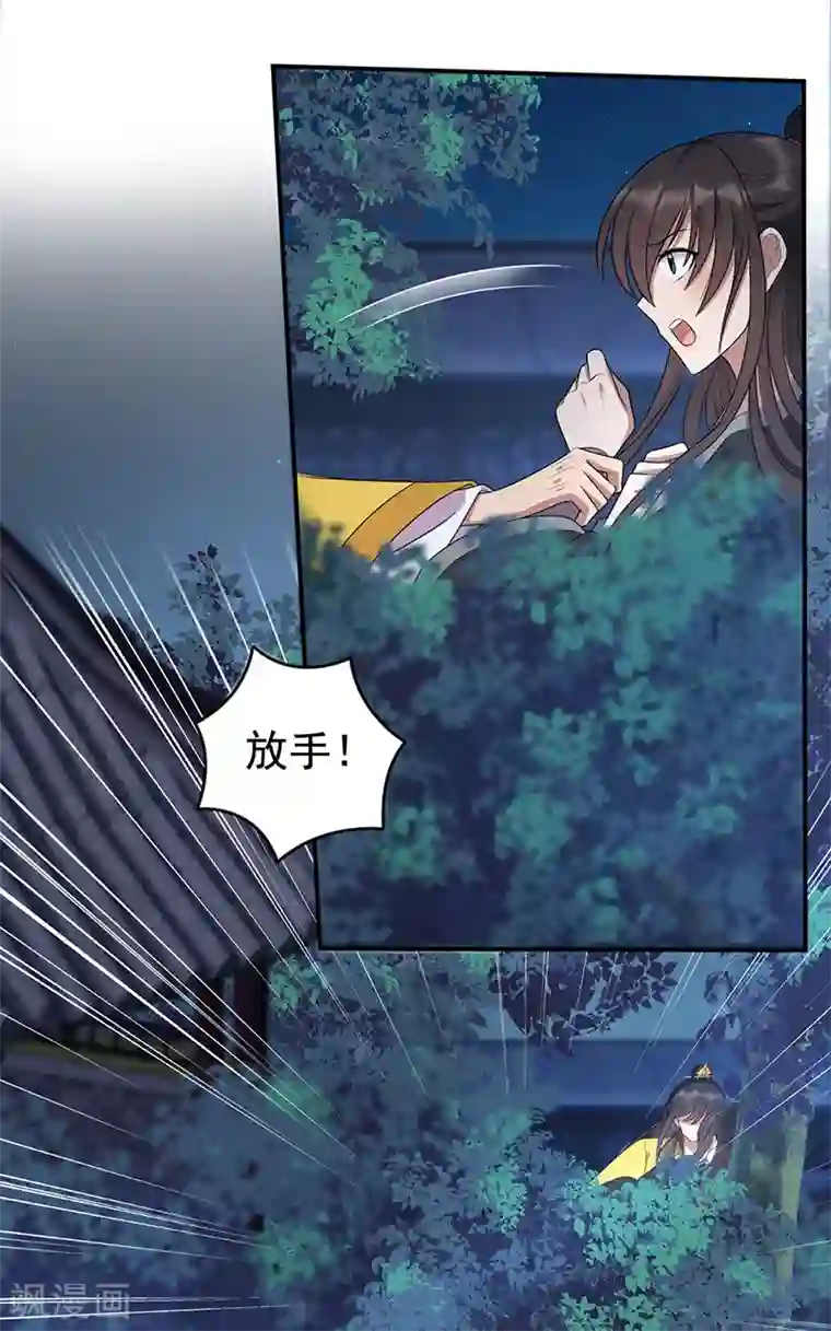 狂女重生：纨绔七皇妃第283话 似曾相识