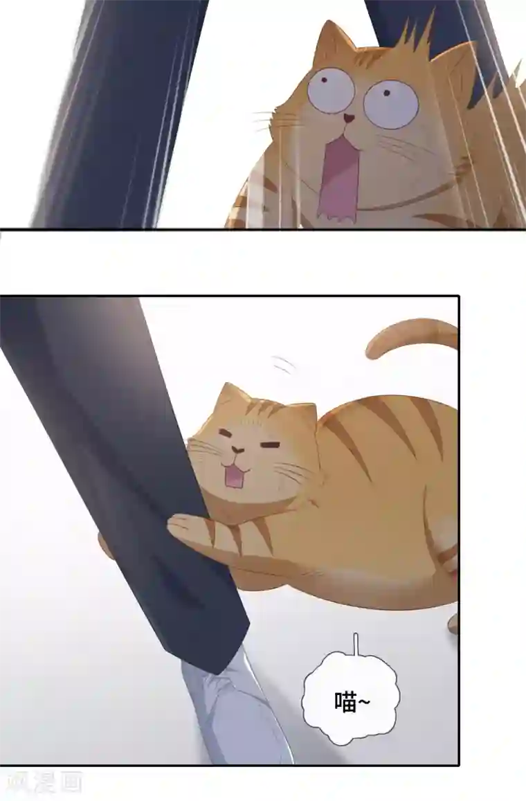 隔壁那个饭桶第81话 男友力爆发