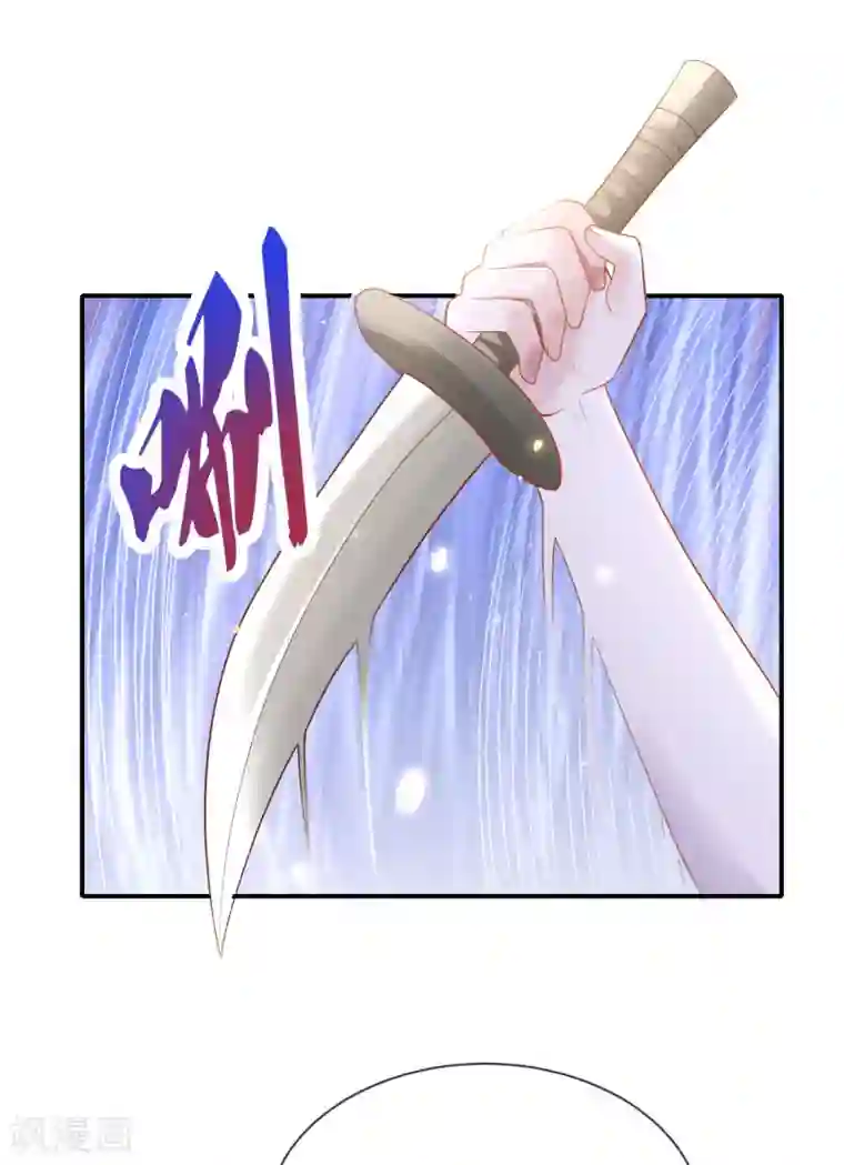 王的第一宠后第69话 改变命运的事件来临
