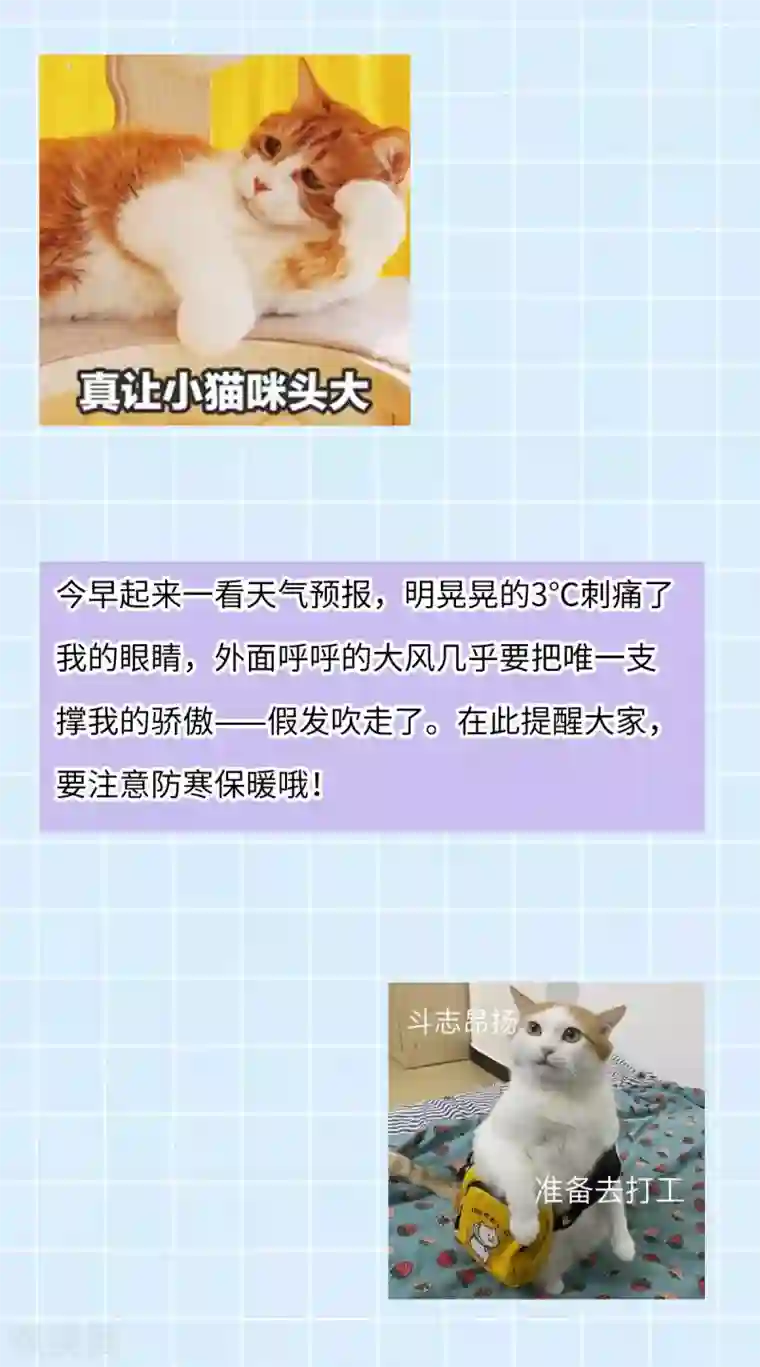 废女妖神第53话 应劫一族？