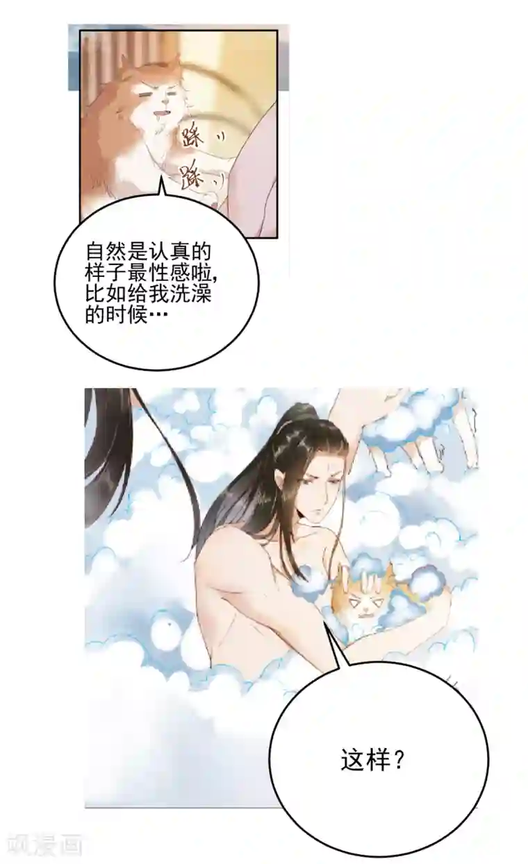 杀手王妃不好惹12月12日请假条