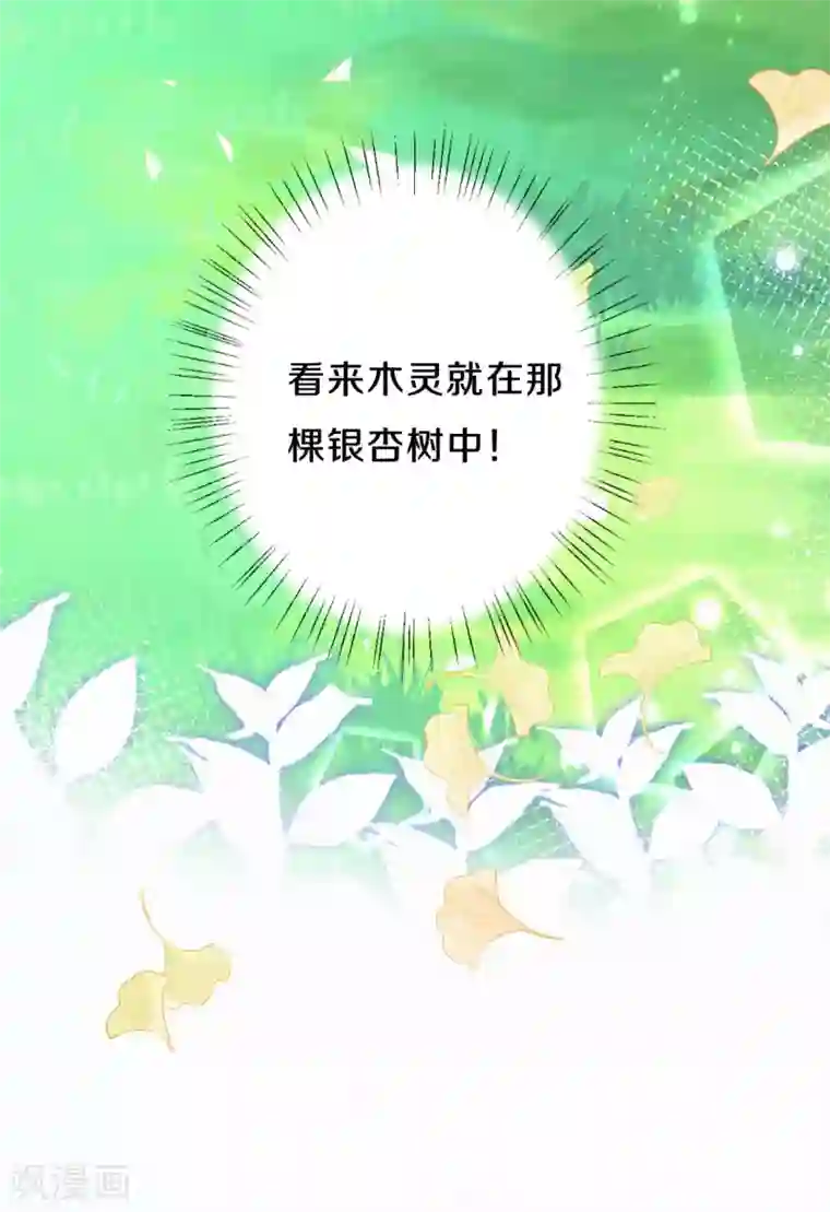 皇家媳妇的生存手册第36话 木灵寄宿之处