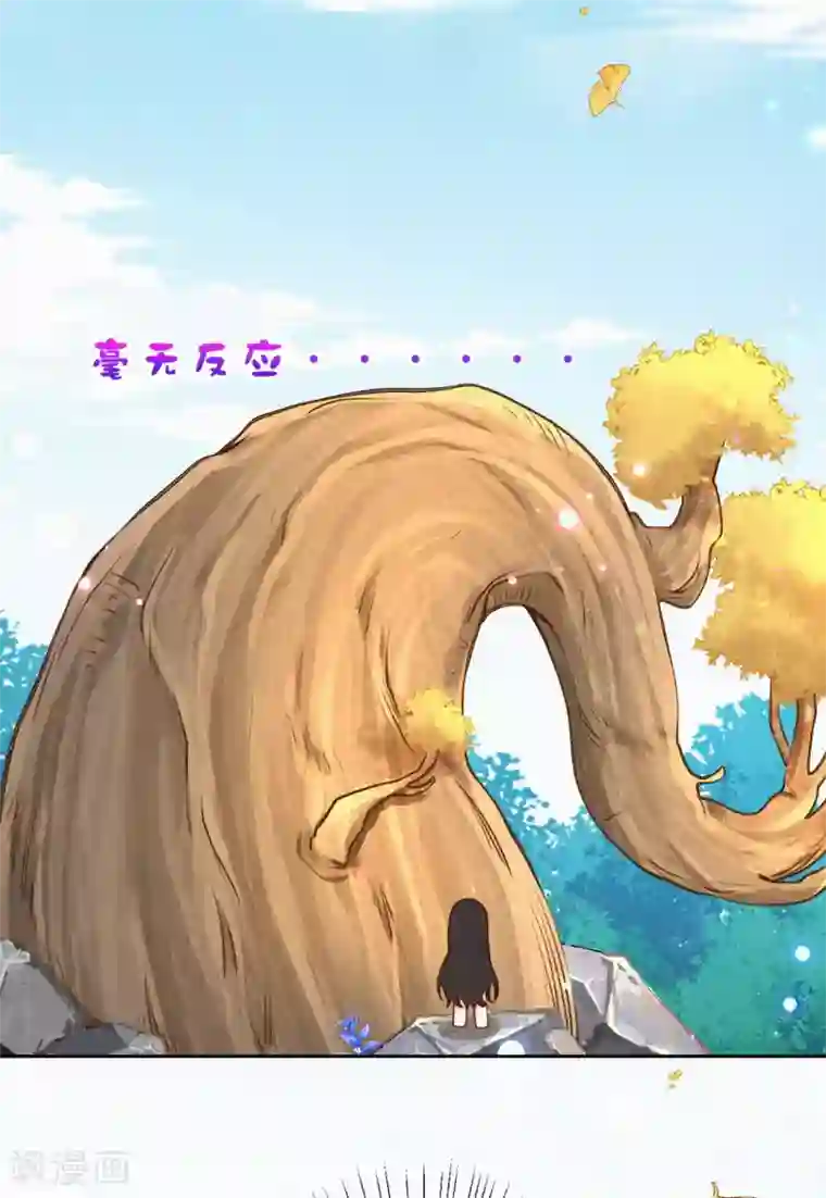 皇家媳妇的生存手册第36话 木灵寄宿之处