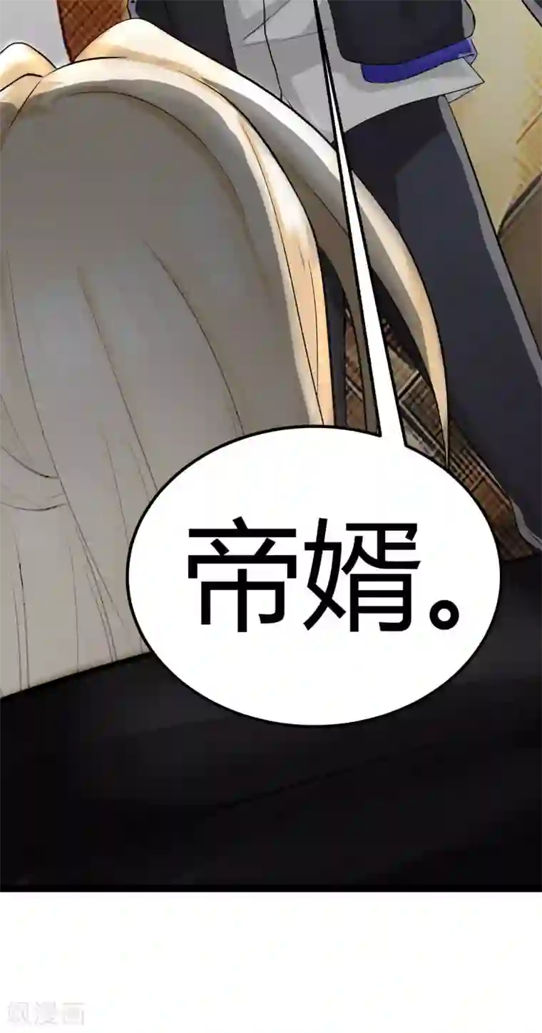 帝婿第17话 帝婿