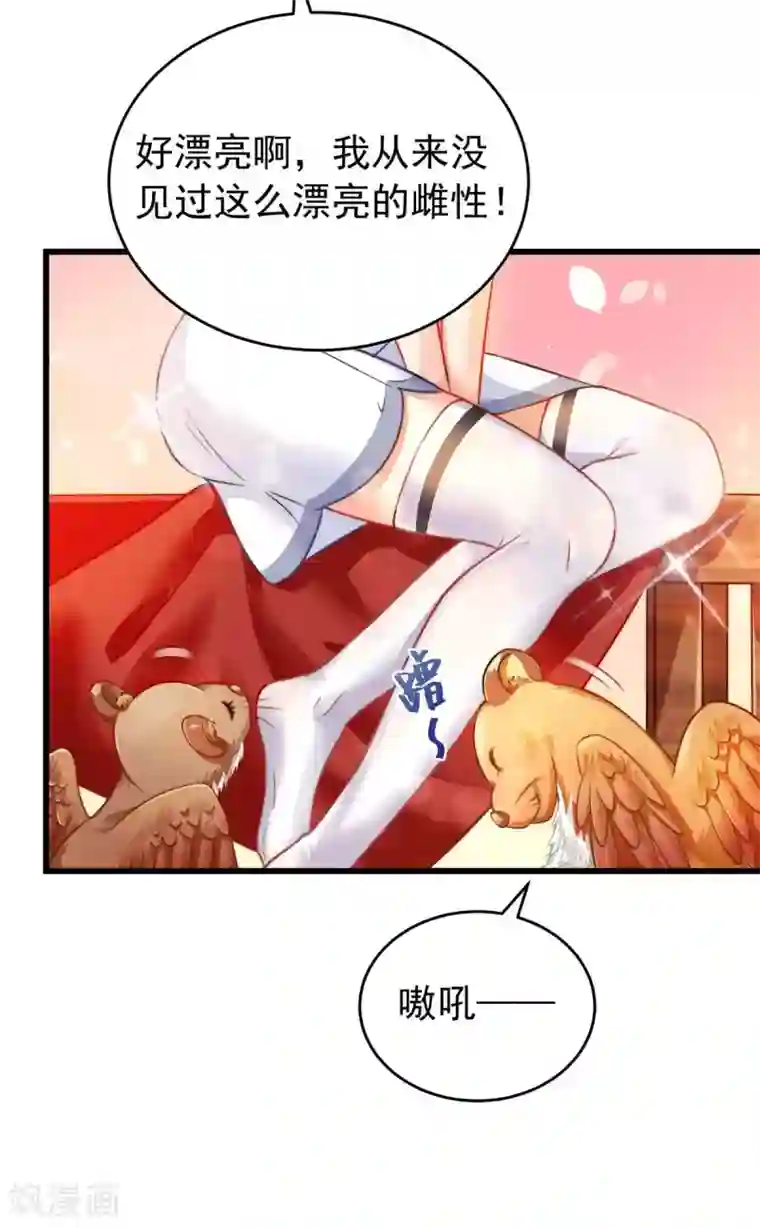 兽世狂妃：不当异界女海王第2话 兽神显灵