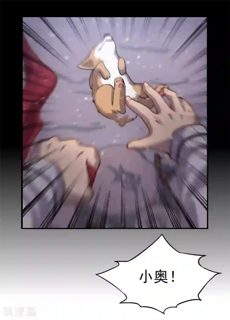 犬侠第20话 大雪之夜