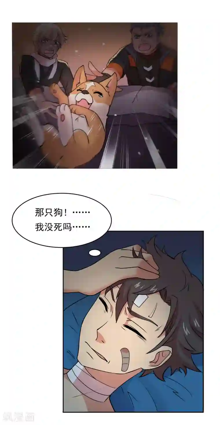 犬侠第36话 糯米