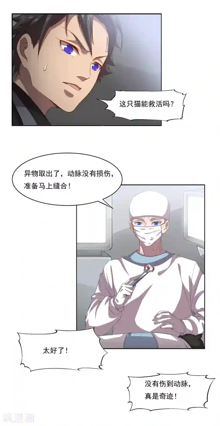 犬侠第46话 手术室