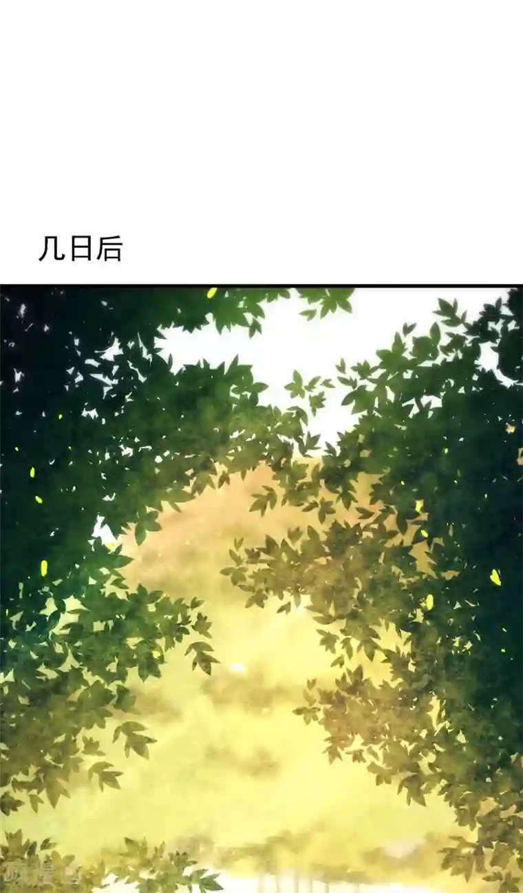 重生空间：豪门辣妻不好惹第121话 我叫秦羽寒