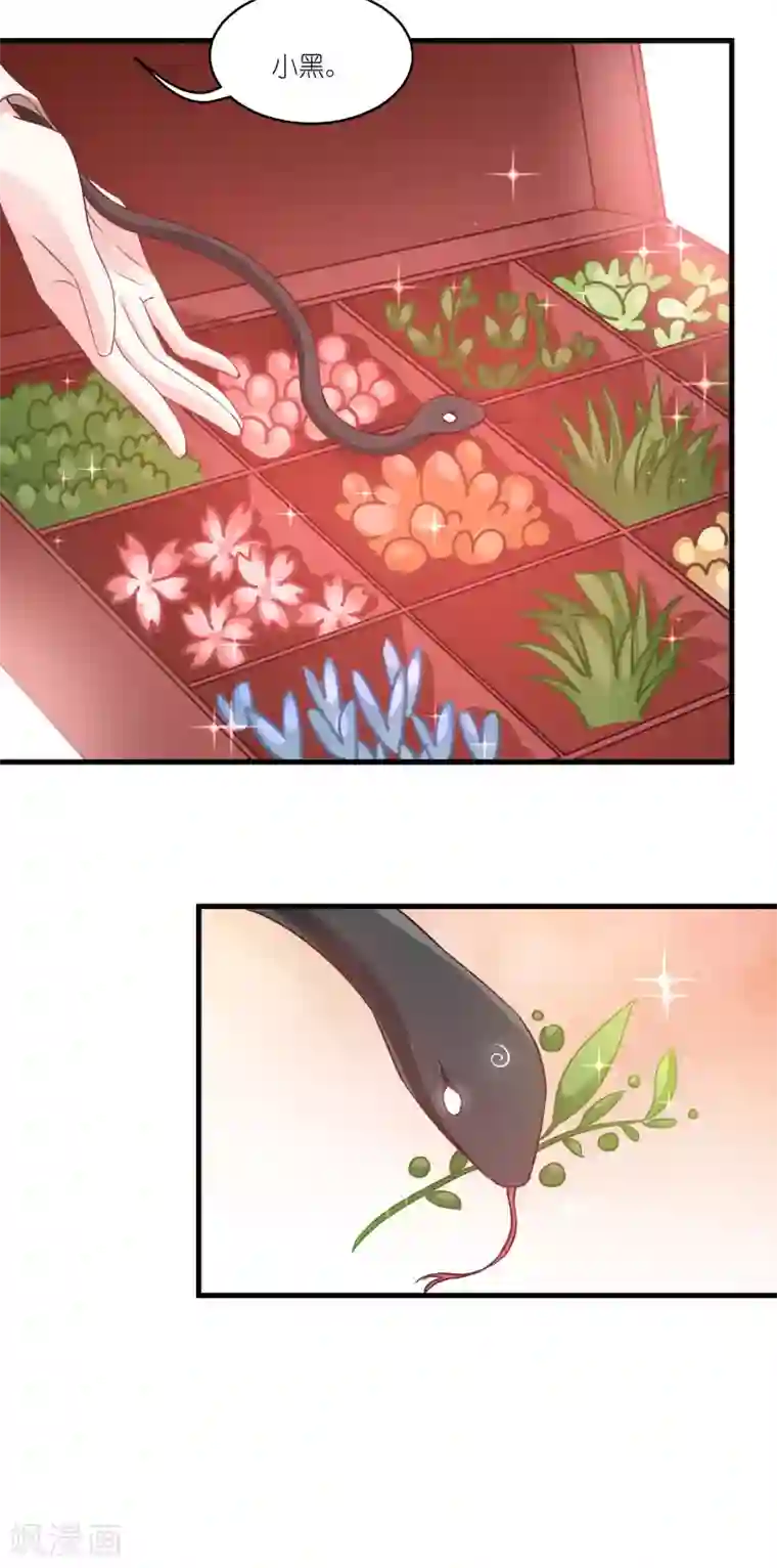 恶女的惩罚游戏第77话 拍卖会