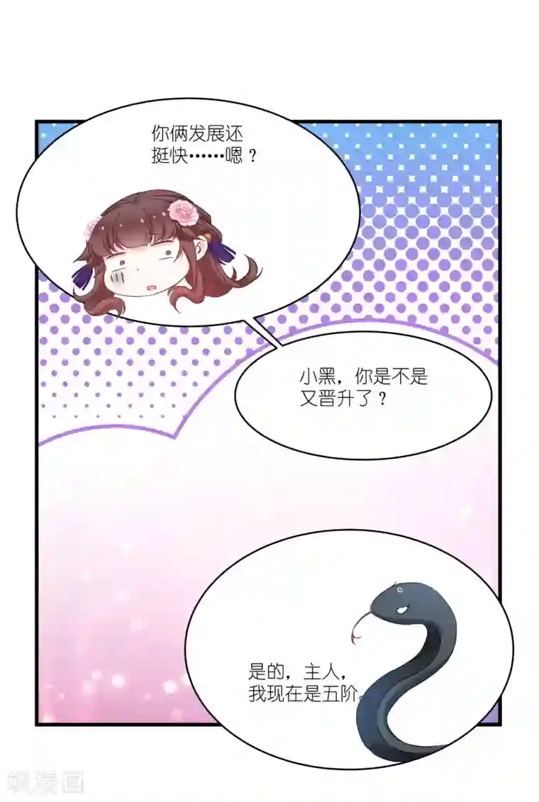 恶女的惩罚游戏第80话 若失去凤凰