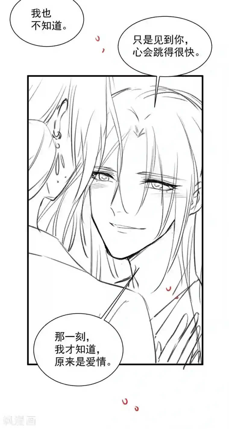 这个猫妖不好惹第1季最终话