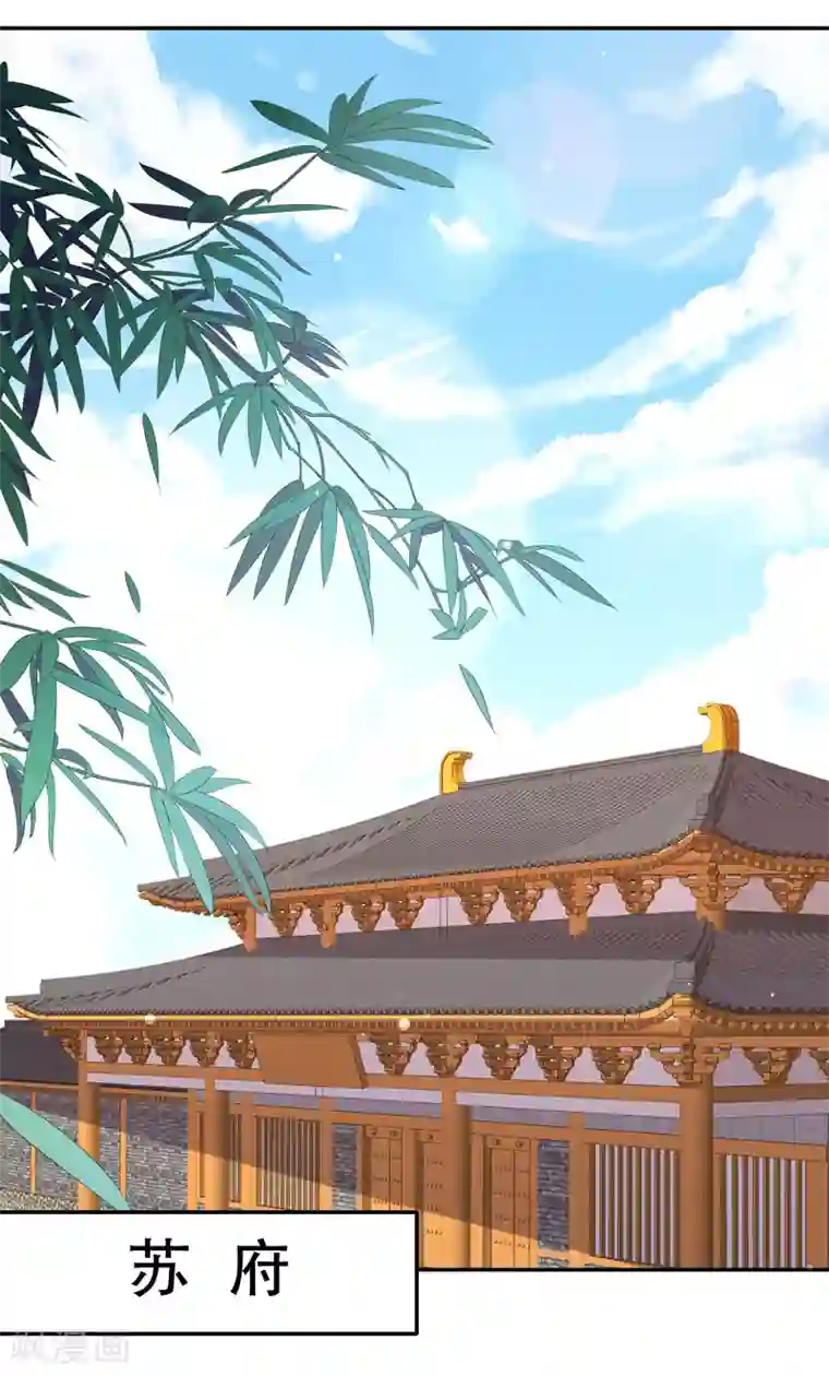 嫡女娇妃最终话 醉的是我