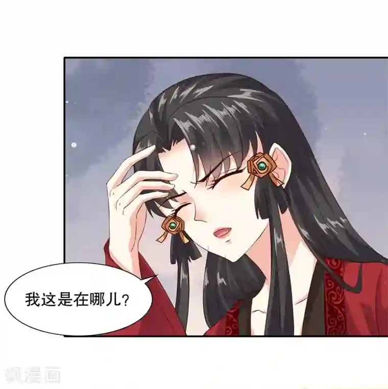 嫡女娇妃最终话 醉的是我