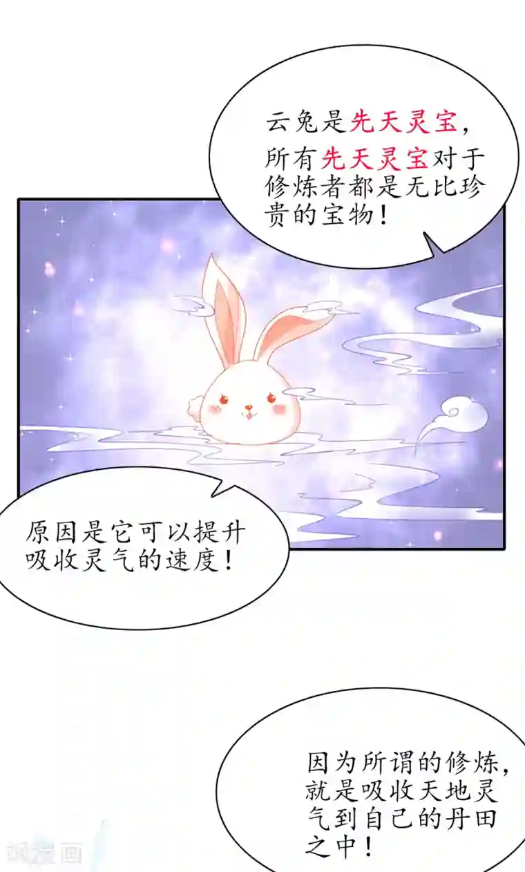 王妃的修仙指南第66话 先天灵宝 云兔