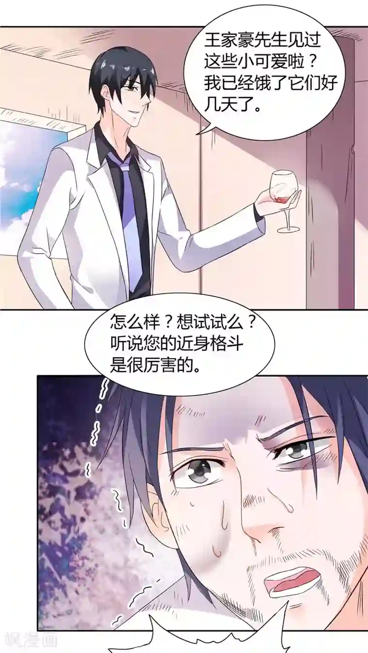 总裁的呆萌丫头第19话 我没有看错你