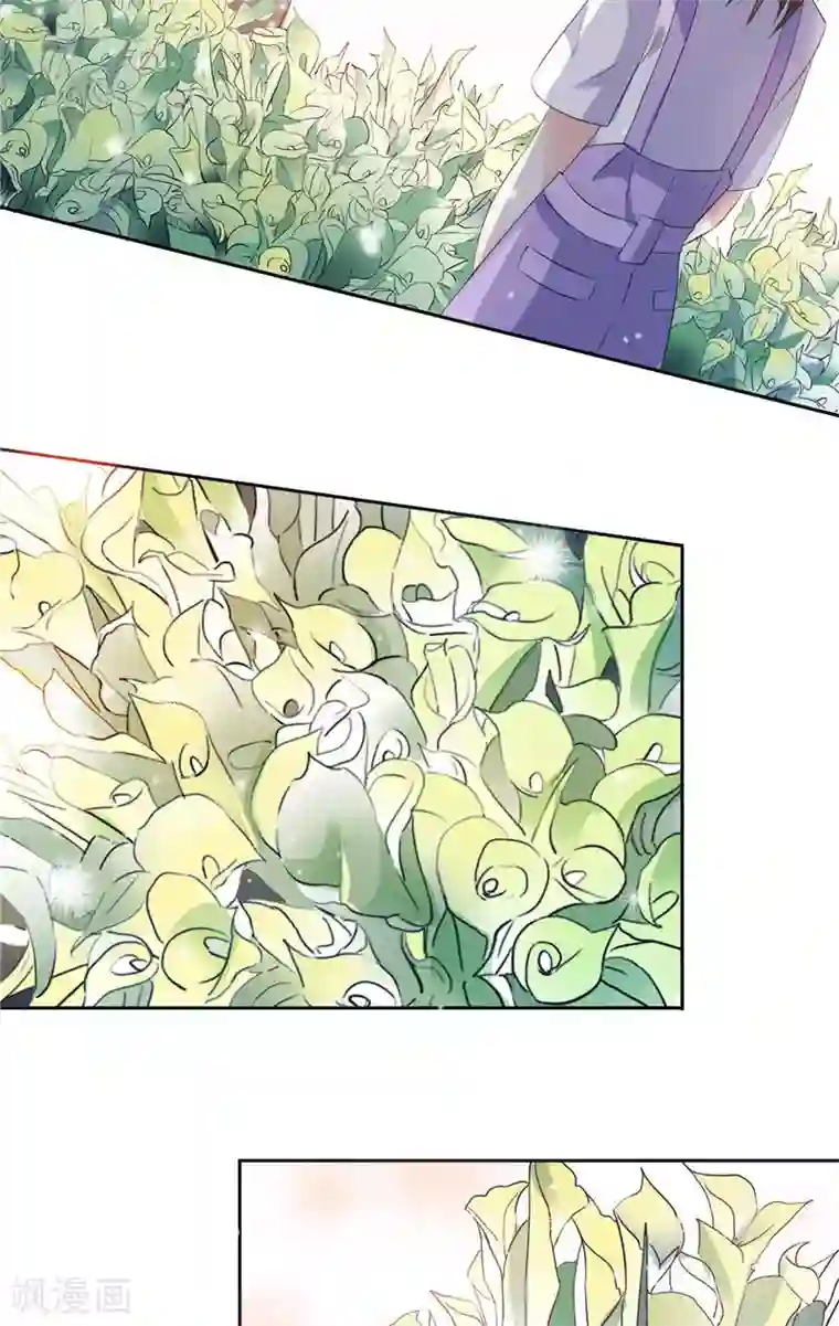 总裁的呆萌丫头最终话 求婚成功