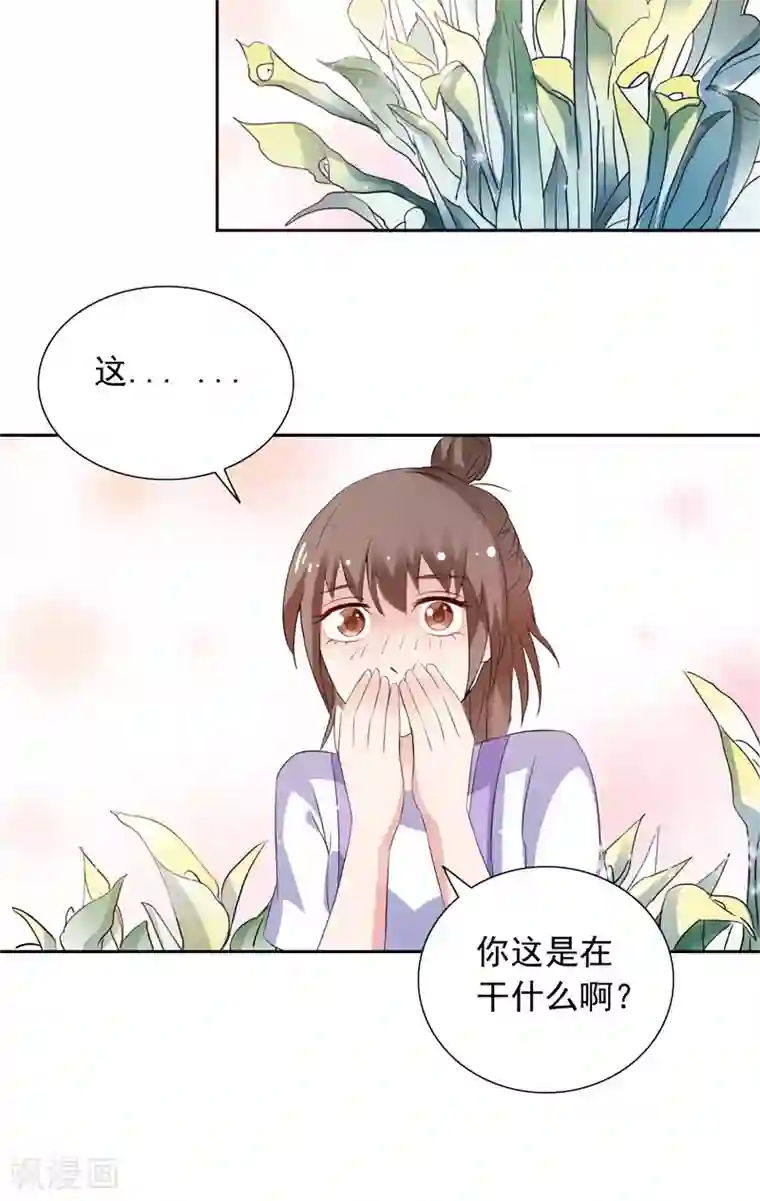 总裁的呆萌丫头最终话 求婚成功