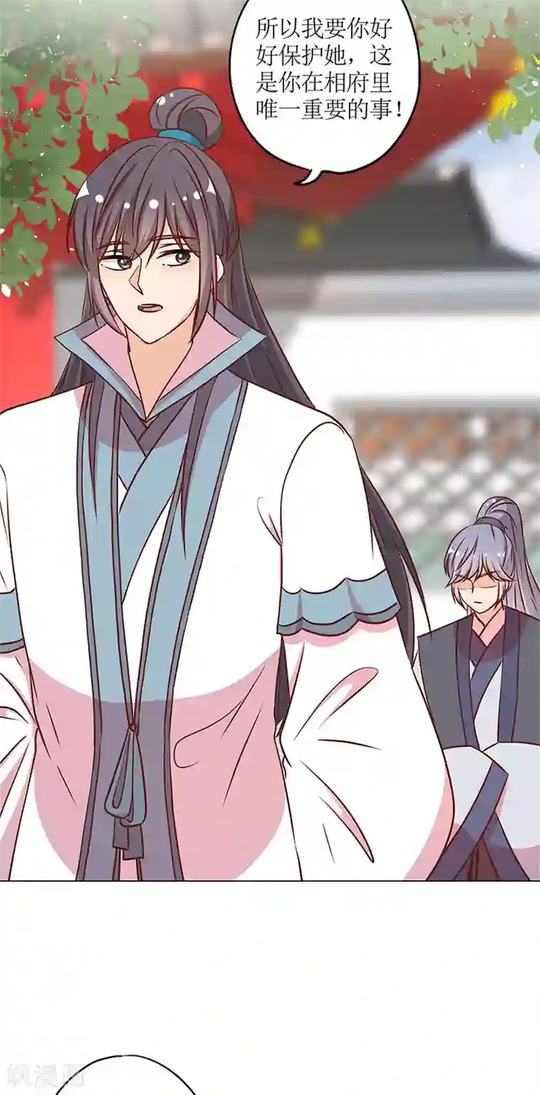 皇后娘娘的五毛特效第237话