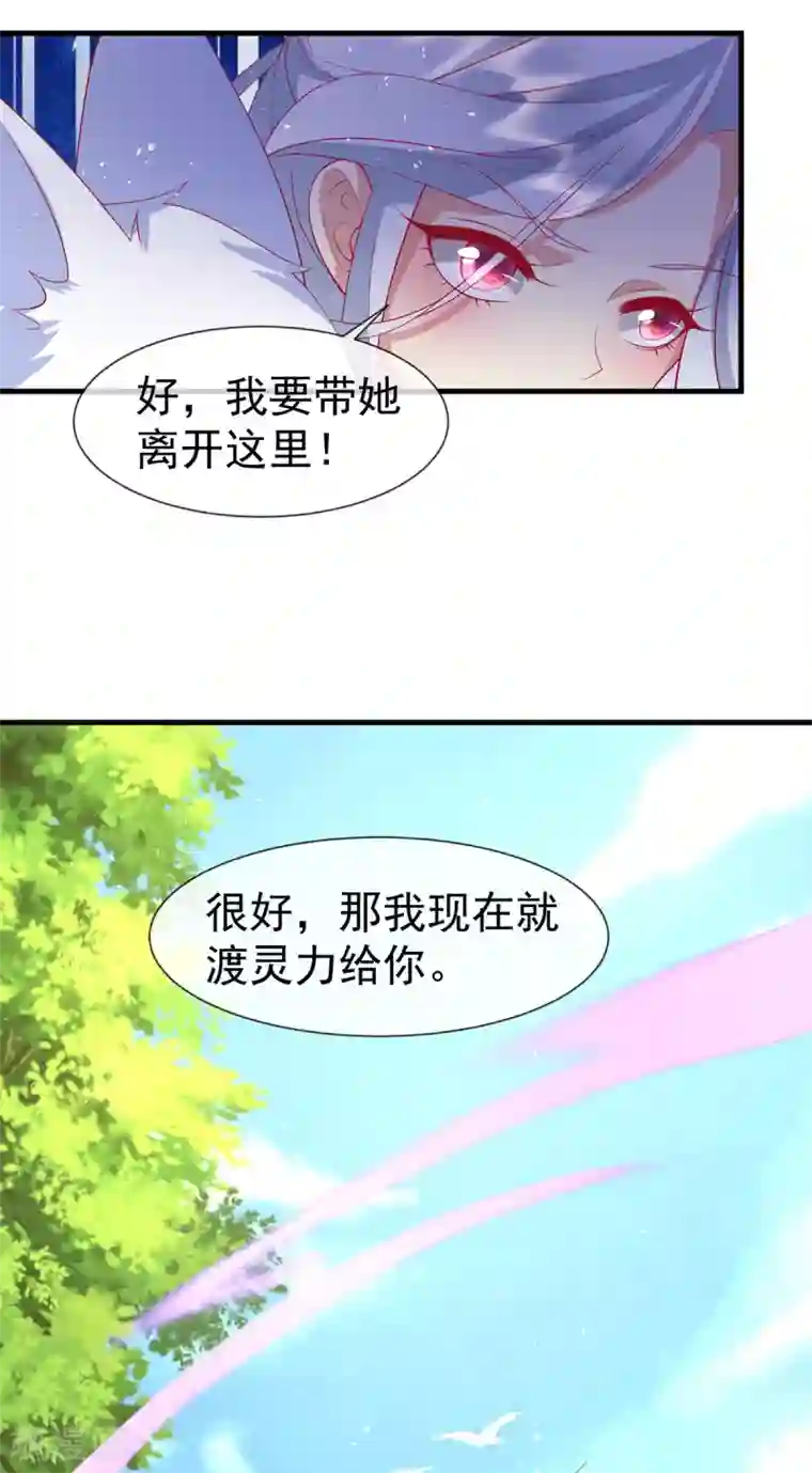 养兽为妃第68话 做我的王妃吧